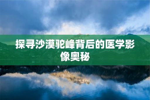 探寻沙漠驼峰背后的医学影像奥秘