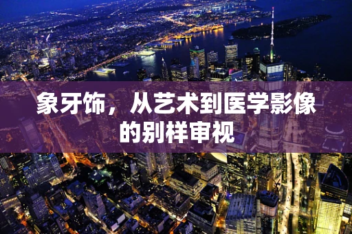 象牙饰，从艺术到医学影像的别样审视