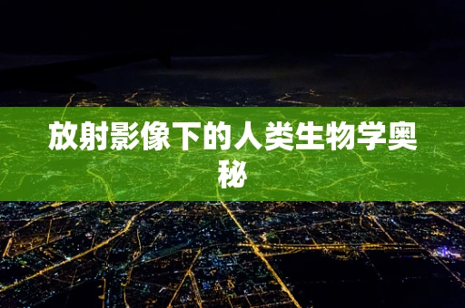 放射影像下的人类生物学奥秘