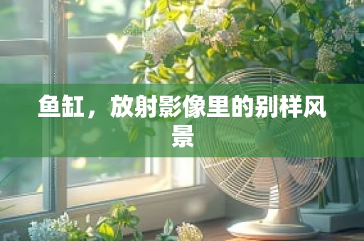 鱼缸，放射影像里的别样风景