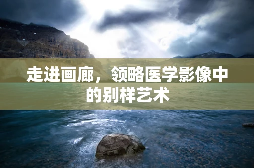 走进画廊，领略医学影像中的别样艺术