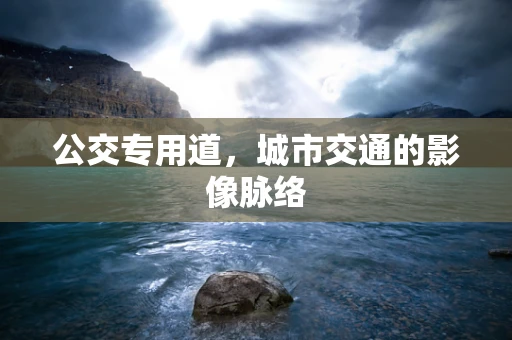 公交专用道，城市交通的影像脉络