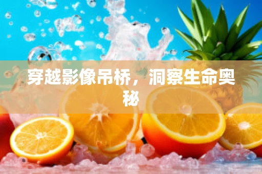 穿越影像吊桥，洞察生命奥秘