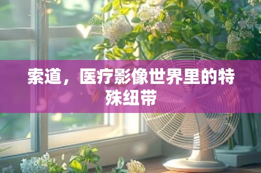 索道，医疗影像世界里的特殊纽带