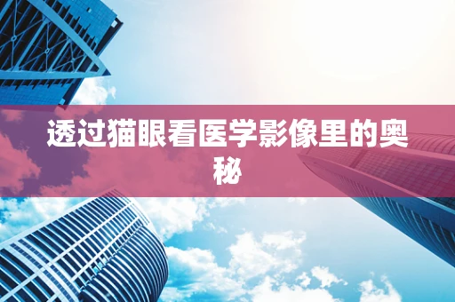 透过猫眼看医学影像里的奥秘