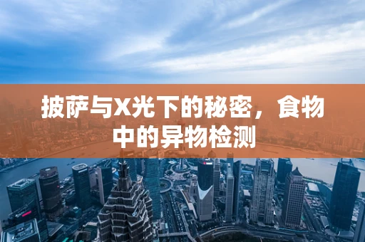 披萨与X光下的秘密，食物中的异物检测