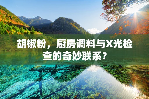 胡椒粉，厨房调料与X光检查的奇妙联系？