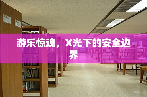 游乐惊魂，X光下的安全边界
