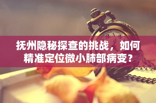 抚州隐秘探查的挑战，如何精准定位微小肺部病变？