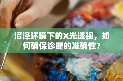 沼泽环境下的X光透视，如何确保诊断的准确性？