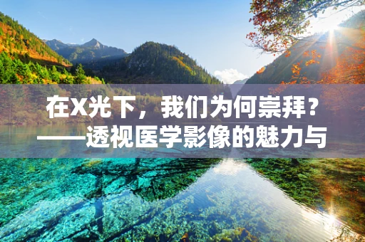 在X光下，我们为何崇拜？——透视医学影像的魅力与挑战