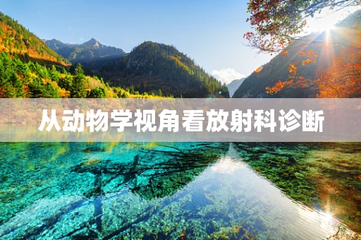 从动物学视角看放射科诊断