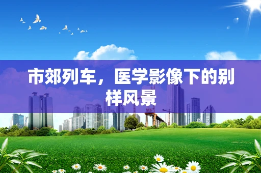 市郊列车，医学影像下的别样风景