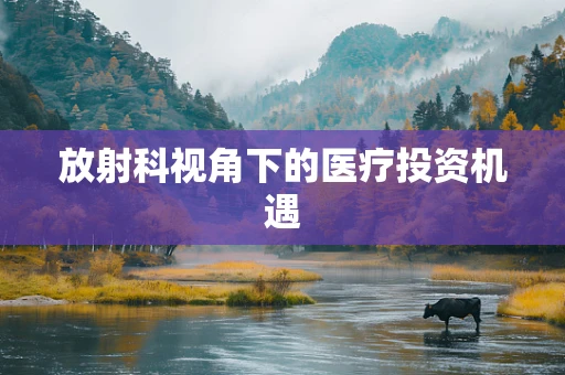 放射科视角下的医疗投资机遇