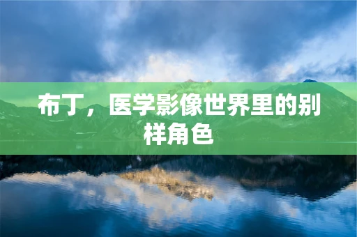 布丁，医学影像世界里的别样角色
