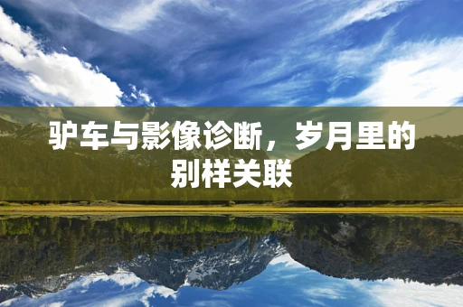 驴车与影像诊断，岁月里的别样关联