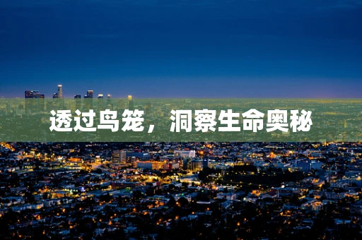 透过鸟笼，洞察生命奥秘