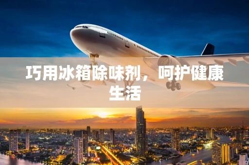 巧用冰箱除味剂，呵护健康生活