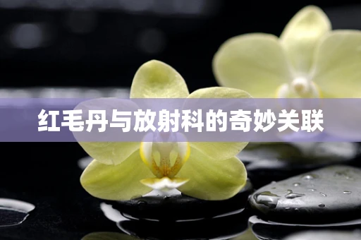 红毛丹与放射科的奇妙关联