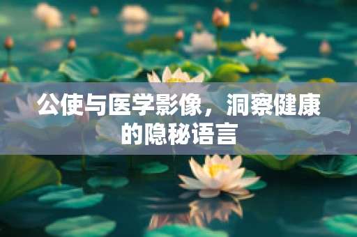 公使与医学影像，洞察健康的隐秘语言