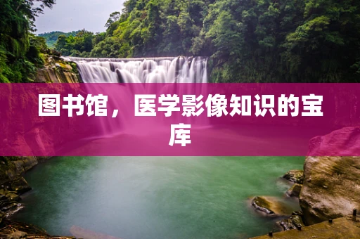 图书馆，医学影像知识的宝库