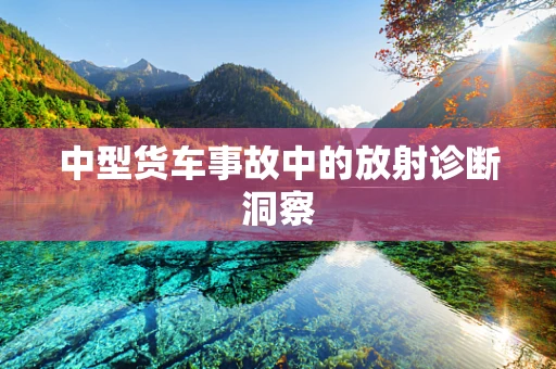 中型货车事故中的放射诊断洞察