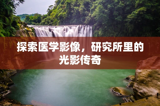 探索医学影像，研究所里的光影传奇