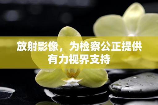 放射影像，为检察公正提供有力视界支持