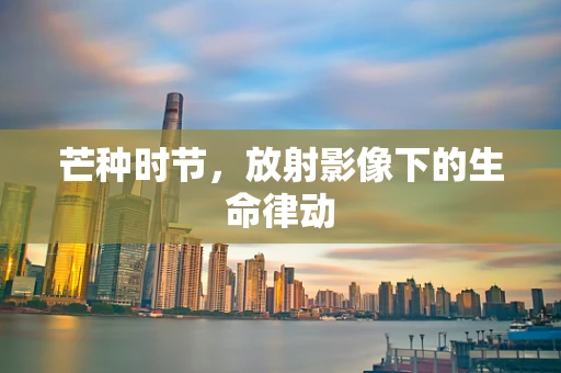 芒种时节，放射影像下的生命律动
