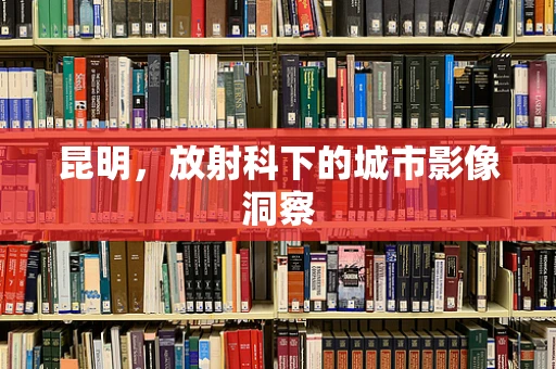 昆明，放射科下的城市影像洞察