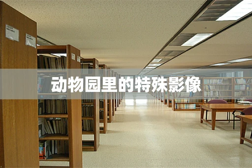 动物园里的特殊影像