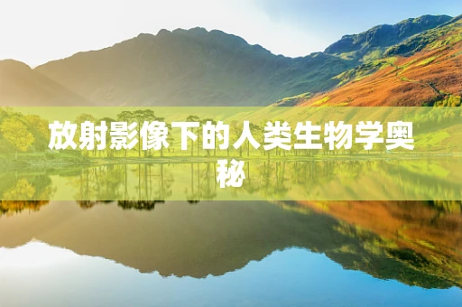 放射影像下的人类生物学奥秘