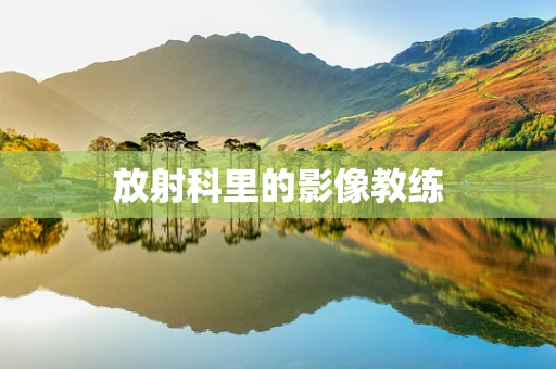 放射科里的影像教练