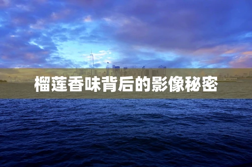 榴莲香味背后的影像秘密