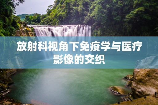 放射科视角下免疫学与医疗影像的交织
