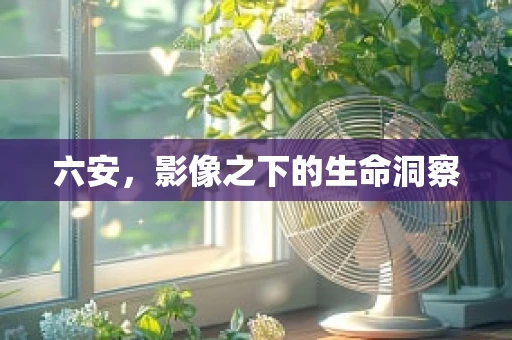 六安，影像之下的生命洞察
