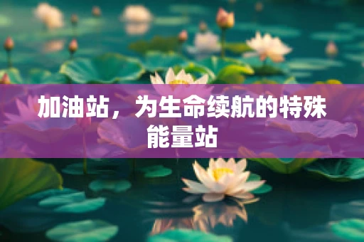 加油站，为生命续航的特殊能量站