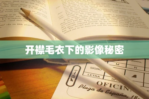开襟毛衣下的影像秘密