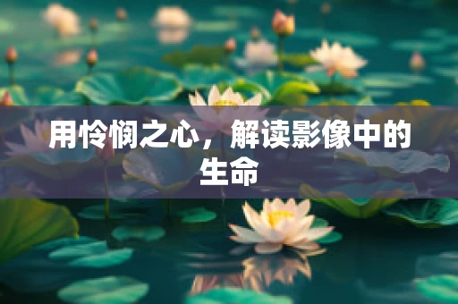 用怜悯之心，解读影像中的生命