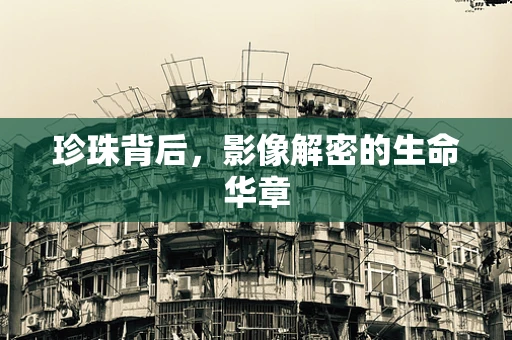 珍珠背后，影像解密的生命华章