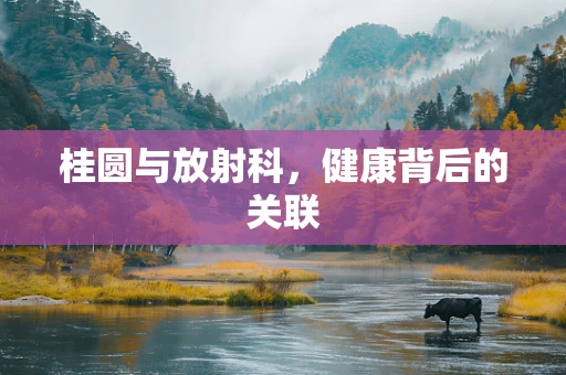 桂圆与放射科，健康背后的关联
