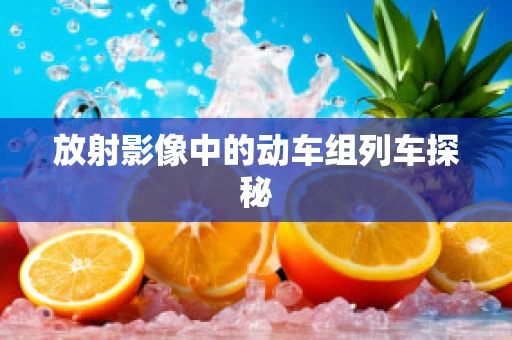 放射影像中的动车组列车探秘