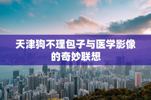 天津狗不理包子与医学影像的奇妙联想