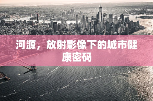河源，放射影像下的城市健康密码