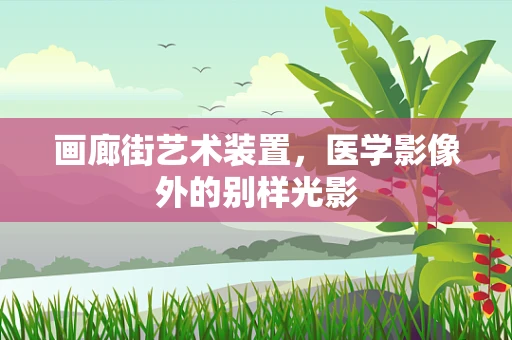画廊街艺术装置，医学影像外的别样光影
