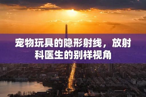 宠物玩具的隐形射线，放射科医生的别样视角