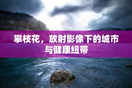 攀枝花，放射影像下的城市与健康纽带