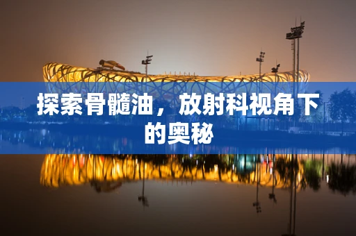 探索骨髓油，放射科视角下的奥秘