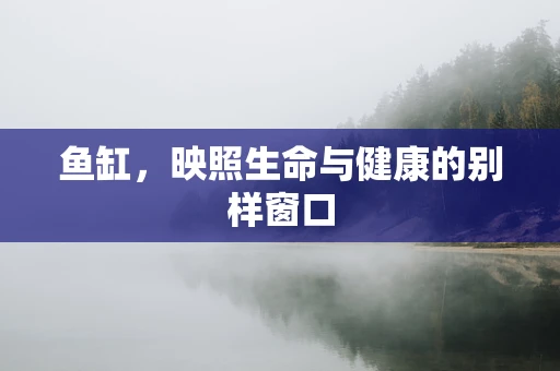 鱼缸，映照生命与健康的别样窗口