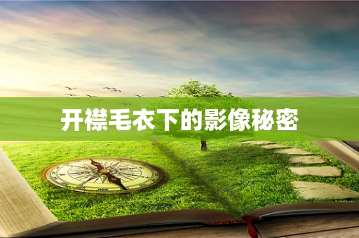 开襟毛衣下的影像秘密